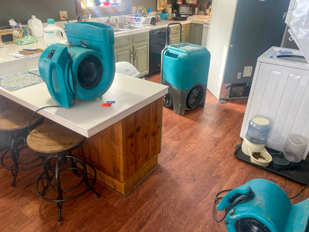 Best Water damage cleanup near me  in Osburn, ID