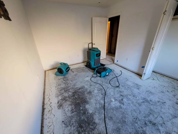 Best Water damage repair service  in Osburn, ID