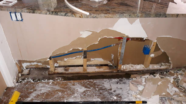 Best 24/7 water damage repair  in Osburn, ID