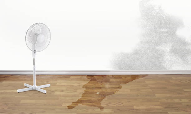 Best Commercial water damage restoration  in Osburn, ID
