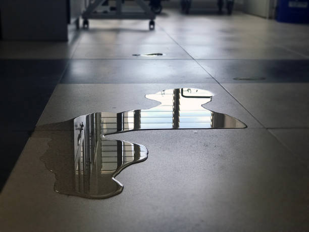 Best Water damage contractors near me  in Osburn, ID