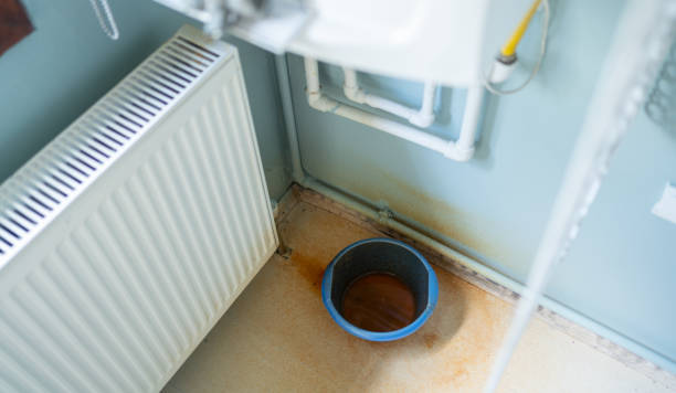 Best Flood damage cleanup  in Osburn, ID