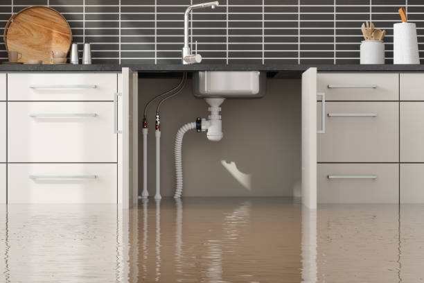 Reliable Osburn, ID Water damage restoration Solutions