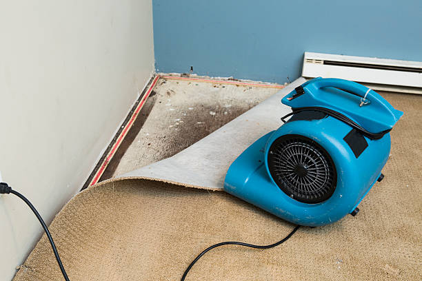 Best Flooded house restoration  in Osburn, ID